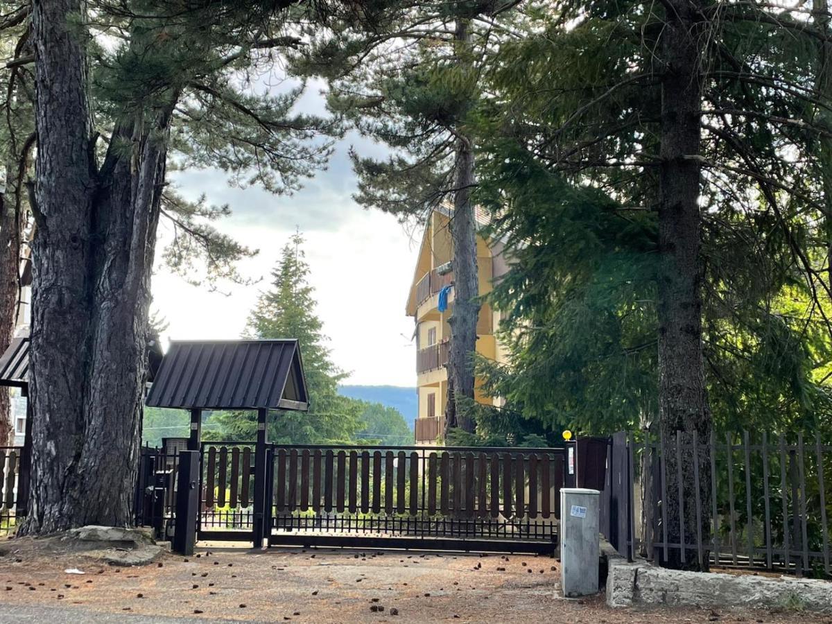 Апартаменты Nadsan Mountain House Камильятелло-Силано Экстерьер фото